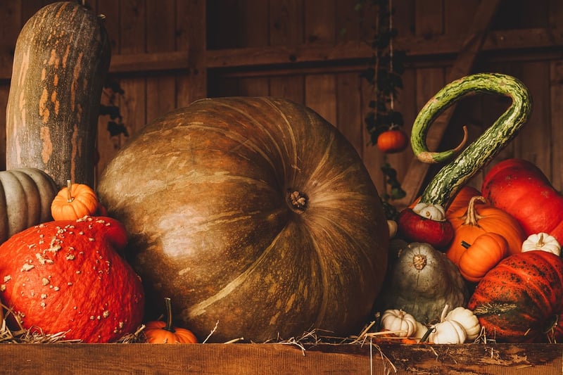 Pumpkin dessert
